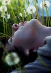 Постер сериала «Письмо отцу»