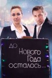 Постер сериала «До Нового года осталось…»
