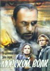 Постер сериала «Морской волк»