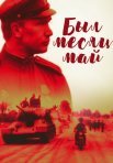 Постер сериала «Был месяц май»
