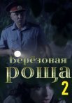 Постер сериала «Берёзовая роща 2 сезон»