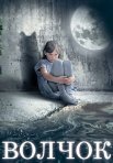Постер сериала «Волчок»