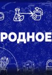 Постер сериала «Родное»