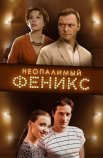 Постер сериала «Неопалимый Феникс»