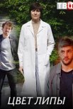 Постер сериала «Цвет липы»