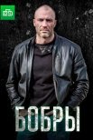 Постер сериала «Бобры»