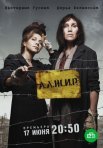 Постер сериала «А.Л.Ж.И.Р.»