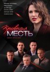 Постер сериала «Кровная месть»