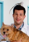 Постер сериала «Ветеринар»