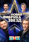 Постер сериала «Новая Фабрика звёзд»