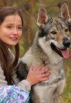 Постер сериала «Серебристый звон ручья»