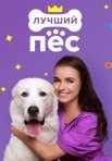 Постер сериала «Лучший пёс»