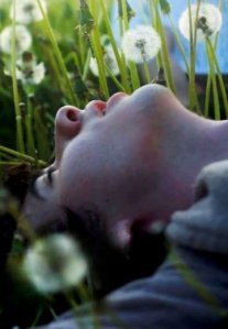 Постер сериала «Письмо отцу»