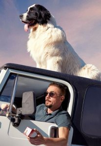 Постер сериала «БиМ»