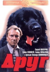 Постер сериала «Друг»