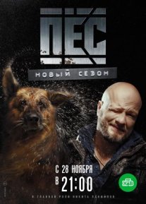 Пес 5 сезон Постер сериала «Пес 5 сезон»