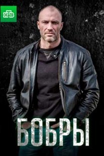 Постер сериала «Бобры»