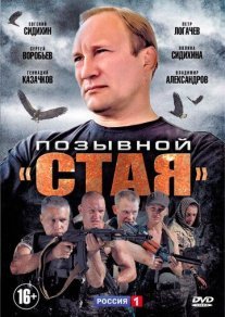 Позывной «Стая» 1 сезон Постер сериала «Позывной «Стая» 1 сезон»
