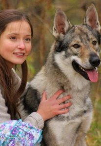 Постер сериала «Серебристый звон ручья»